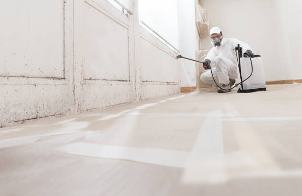 24/7 Emergency Mold Remediation experts in Chaptico, MD